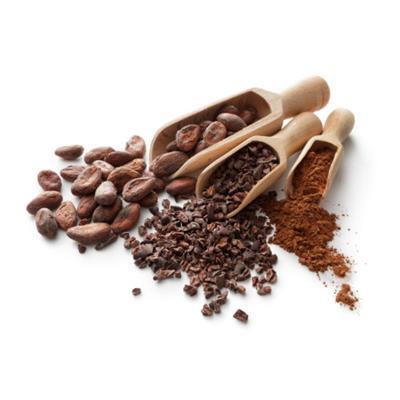 Cocoa in powder