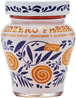 Zenzero Fabbri 230g